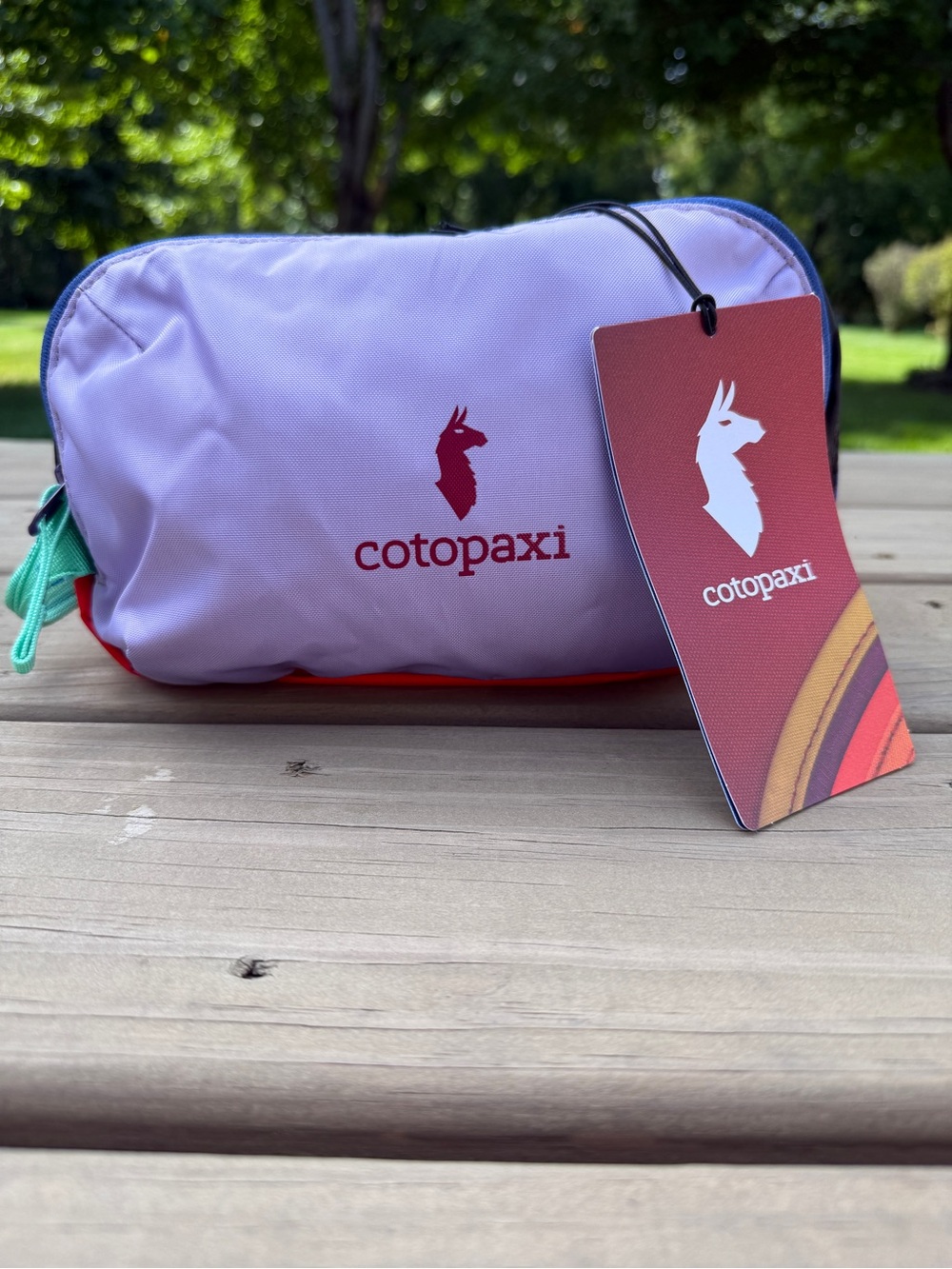 Cotopaxi Nido Accessory Bag - Del Dia PT One-of-a-Kind Colorway